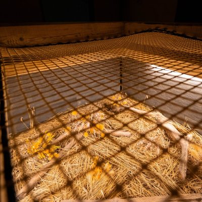 Loic_Chalmandrier_New_Vision-35