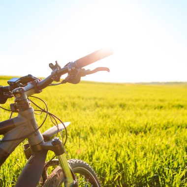back view of a man with a bicycle against the blue sky. cyclist rides a bicycle.