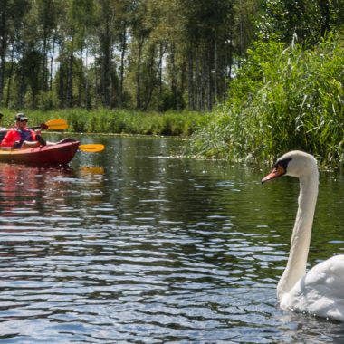 moulin-wantzenau-canoe03